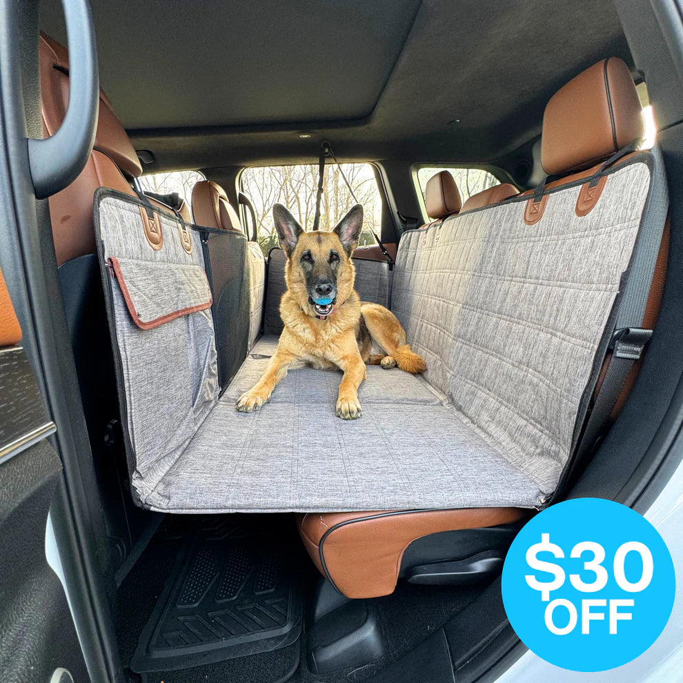 Backseat Extender for Dogs