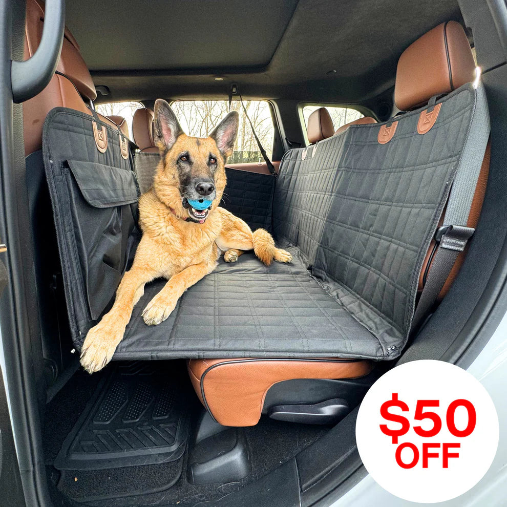 Backseat Extender for Dogs